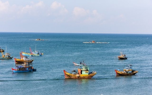 Quá trình đánh bắt cá trên biển